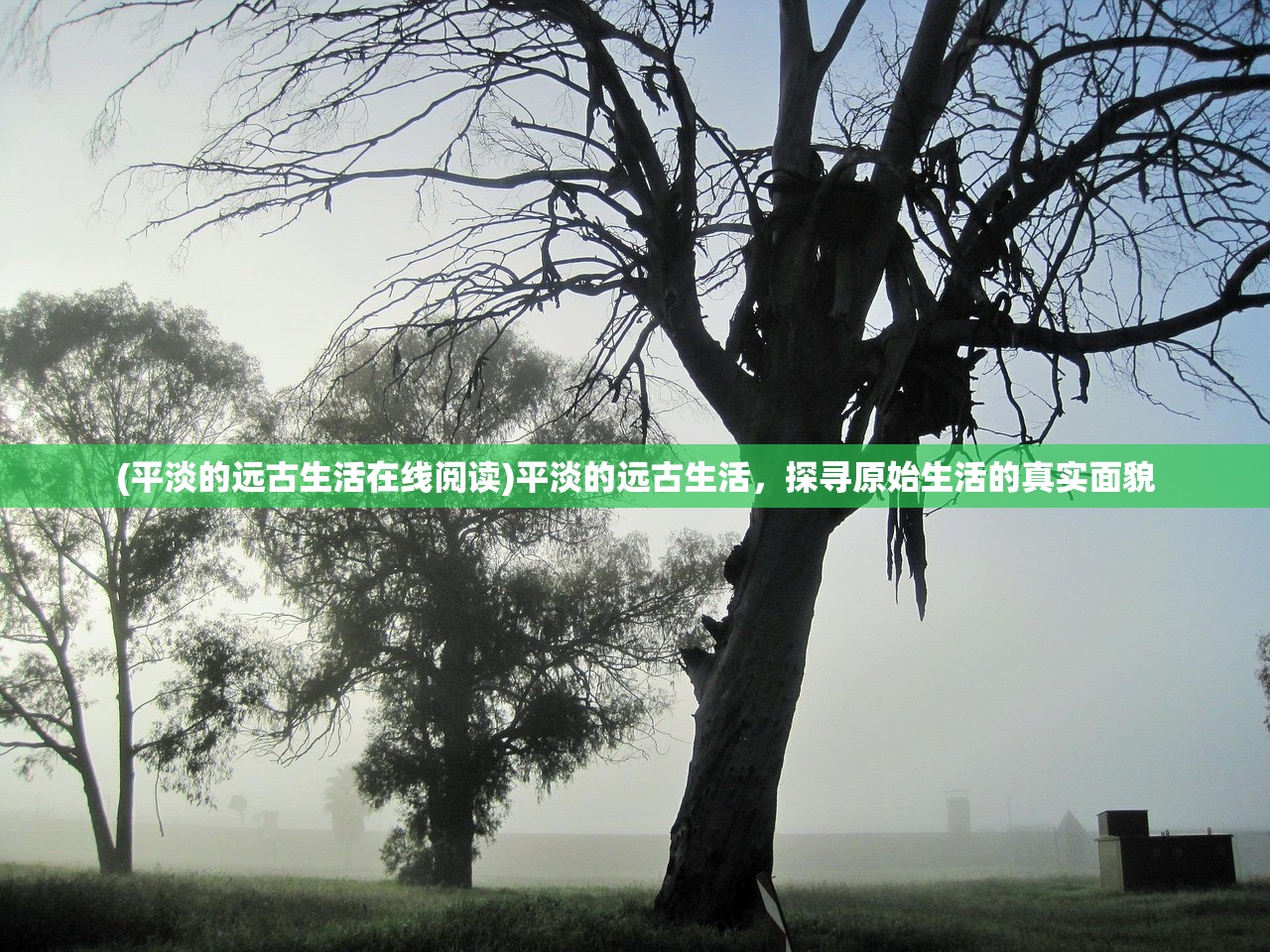 (玛娜希斯回响版号)关于玛娜希斯回响国服是否关闭的探讨
