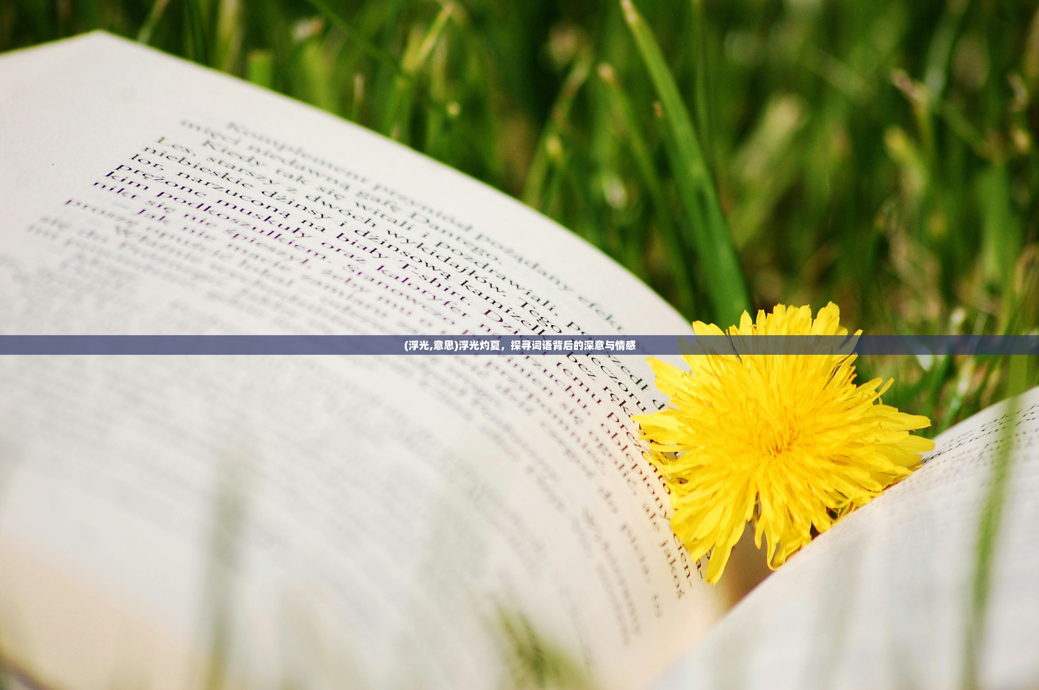 (浮光,意思)浮光灼夏,探寻词语背后的深意与情感 (浮光,意思)浮光灼夏,探寻词语背后的深意与情感