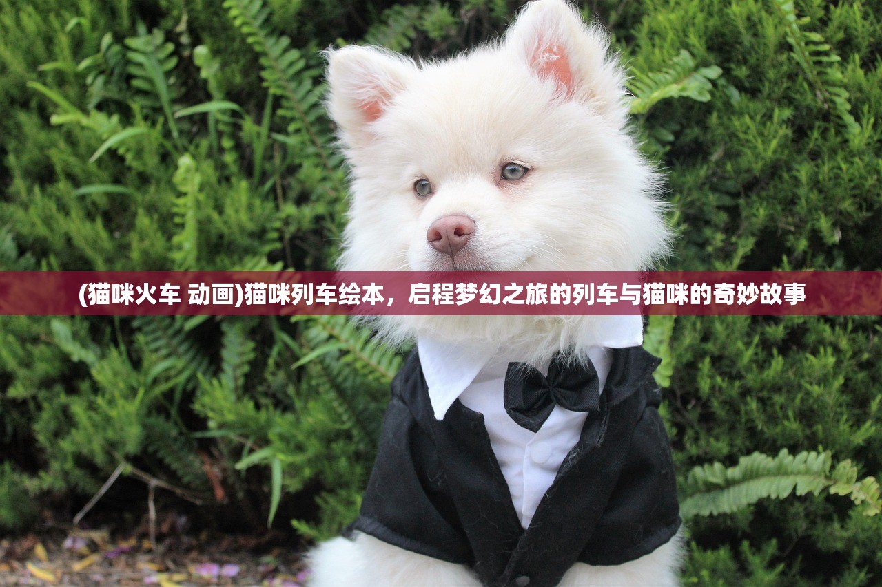 (猫咪火车 动画)猫咪列车绘本,启程梦幻之旅的列车与猫咪的奇妙故事 (猫咪火车 动画)猫咪列车绘本,启程梦幻之旅的列车与猫咪的奇妙故事