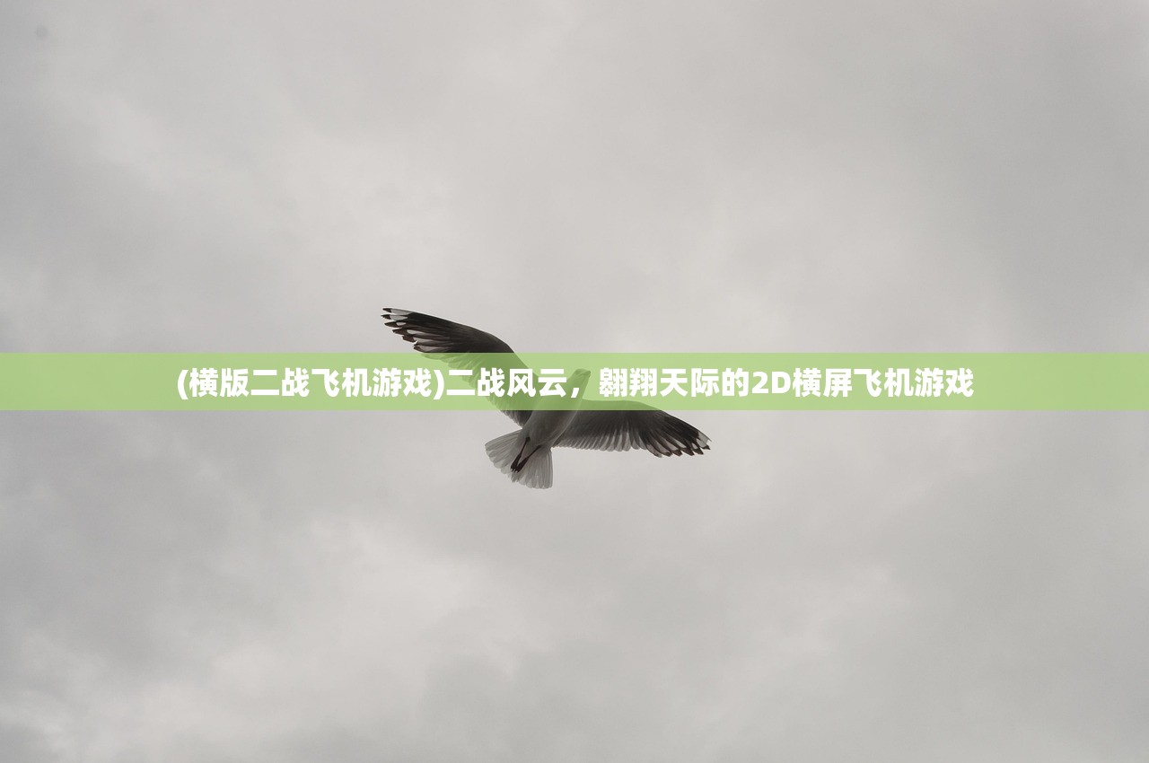 (横版二战飞机游戏)二战风云,翱翔天际的2D横屏飞机游戏 (横版二战飞机游戏)二战风云,翱翔天际的2D横屏飞机游戏