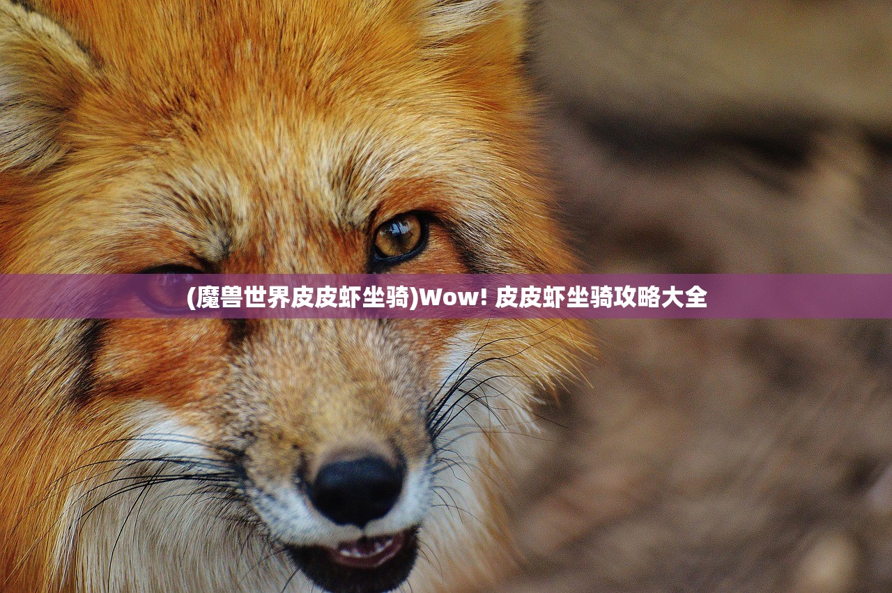(地下城与古堡无限金币版)地下城与古堡,免广告攻略及深度解析 (地下城与古堡无限金币版)地下城与古堡,免广告攻略及深度解析