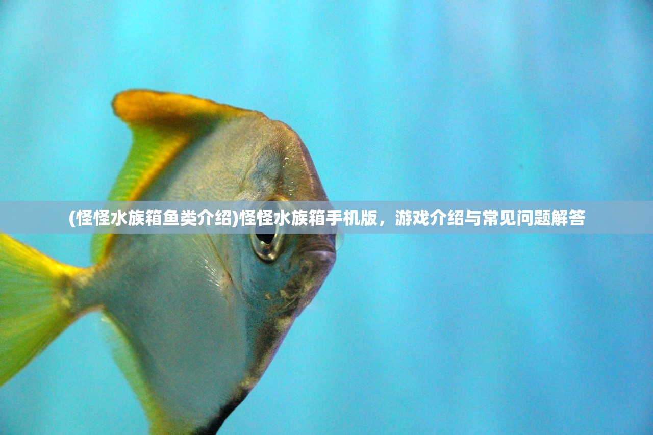 (怪怪水族箱鱼类介绍)怪怪水族箱手机版,游戏介绍与常见问题解答 (怪怪水族箱鱼类介绍)怪怪水族箱手机版,游戏介绍与常见问题解答