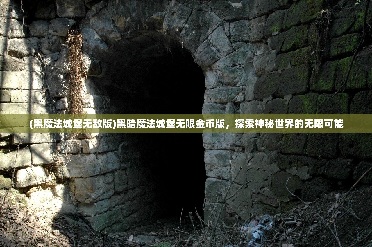 (黑魔法城堡无敌版)黑暗魔法城堡无限金币版，探索神秘世界的无限可能