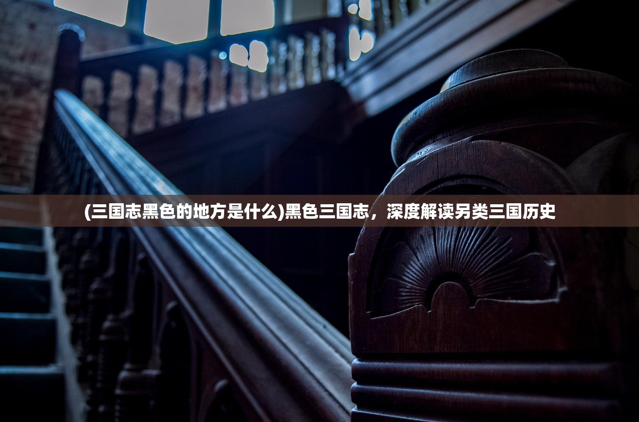 (三国志黑色的地方是什么)黑色三国志，深度解读另类三国历史
