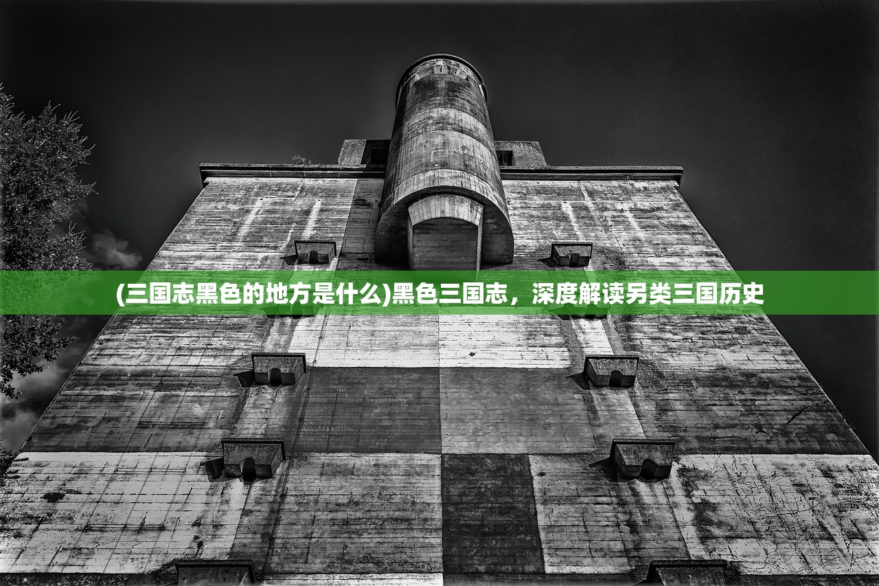 (三国志黑色的地方是什么)黑色三国志，深度解读另类三国历史