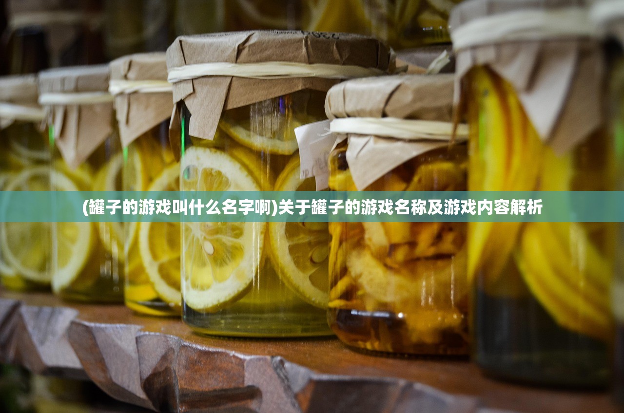 (罐子的游戏叫什么名字啊)关于罐子的游戏名称及游戏内容解析 (罐子的游戏叫什么名字啊)关于罐子的游戏名称及游戏内容解析