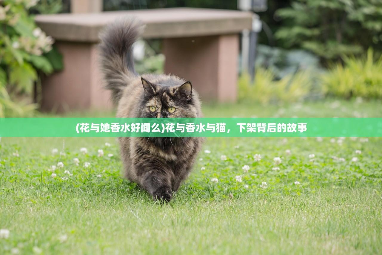 (花与她香水好闻么)花与香水与猫，下架背后的故事