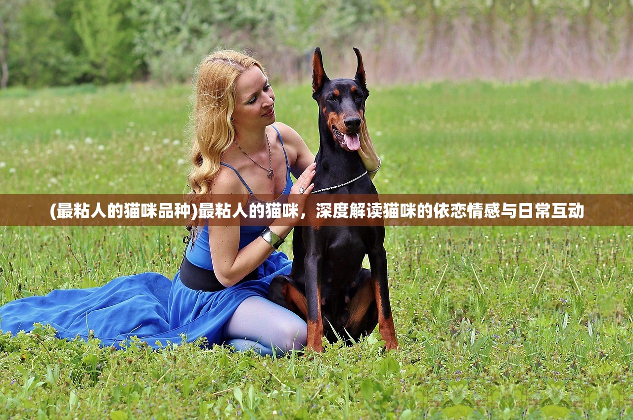 (失落魔渊攻略图文)失落魔渊攻略大全及常见问答（FAQ）