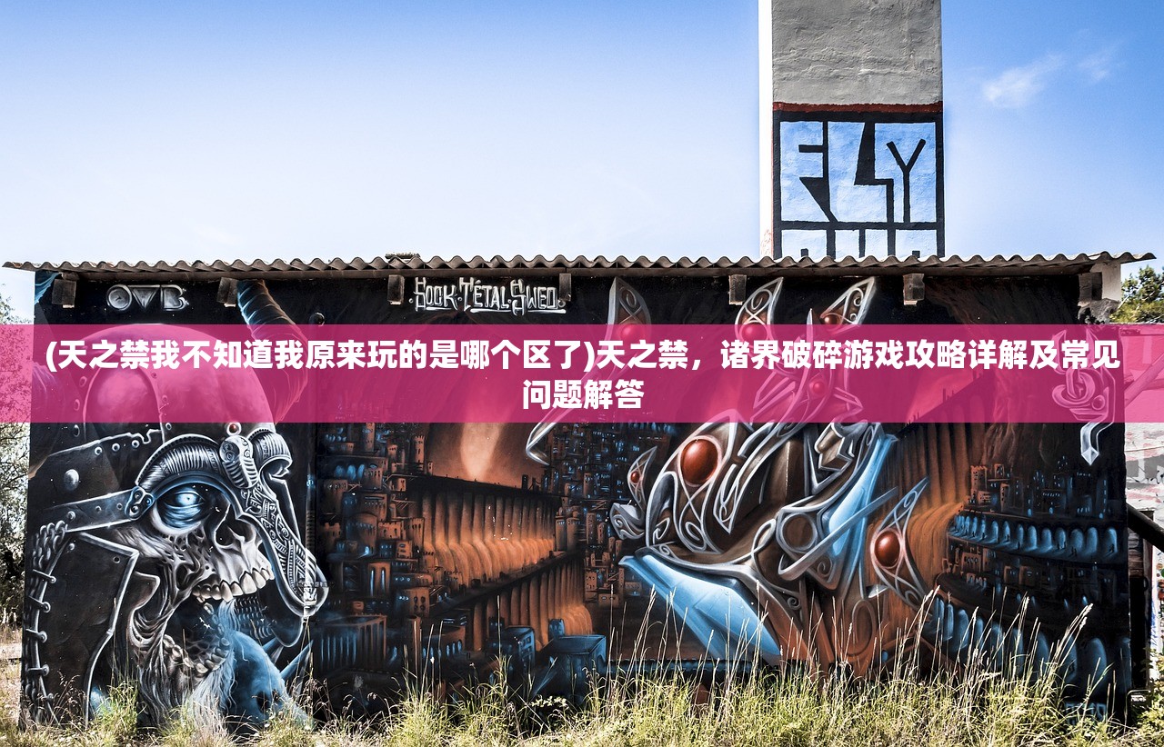 (战斗法则官服是哪个)战斗法则官服，游戏策略与体验解析