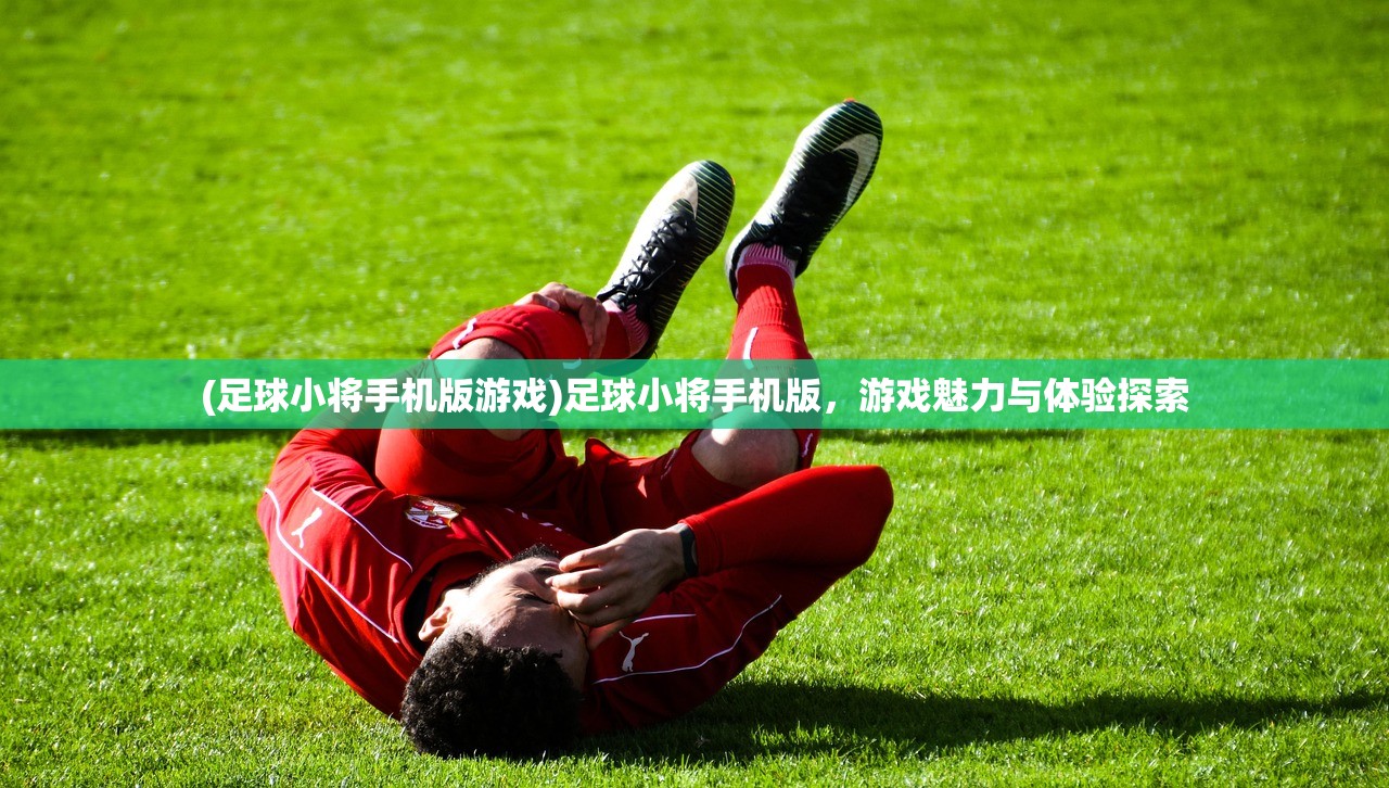 (虾仁修仙记动画全集)虾仁修仙记,奇幻之旅与深度探索 (虾仁修仙记动画全集)虾仁修仙记,奇幻之旅与深度探索