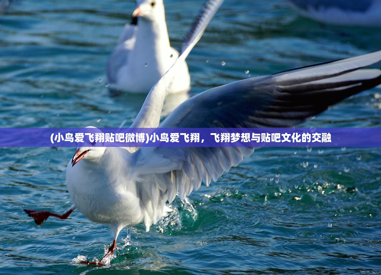 (小鸟爱飞翔贴吧微博)小鸟爱飞翔,飞翔梦想与贴吧文化的交融 (小鸟爱飞翔贴吧微博)小鸟爱飞翔,飞翔梦想与贴吧文化的交融