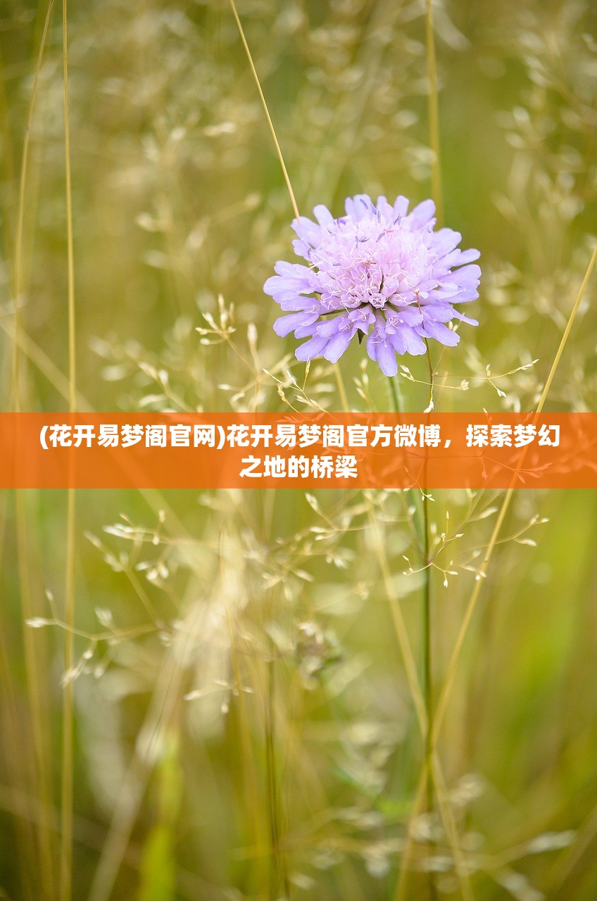 (花开易梦阁官网)花开易梦阁官方微博,探索梦幻之地的桥梁 (花开易梦阁官网)花开易梦阁官方微博,探索梦幻之地的桥梁