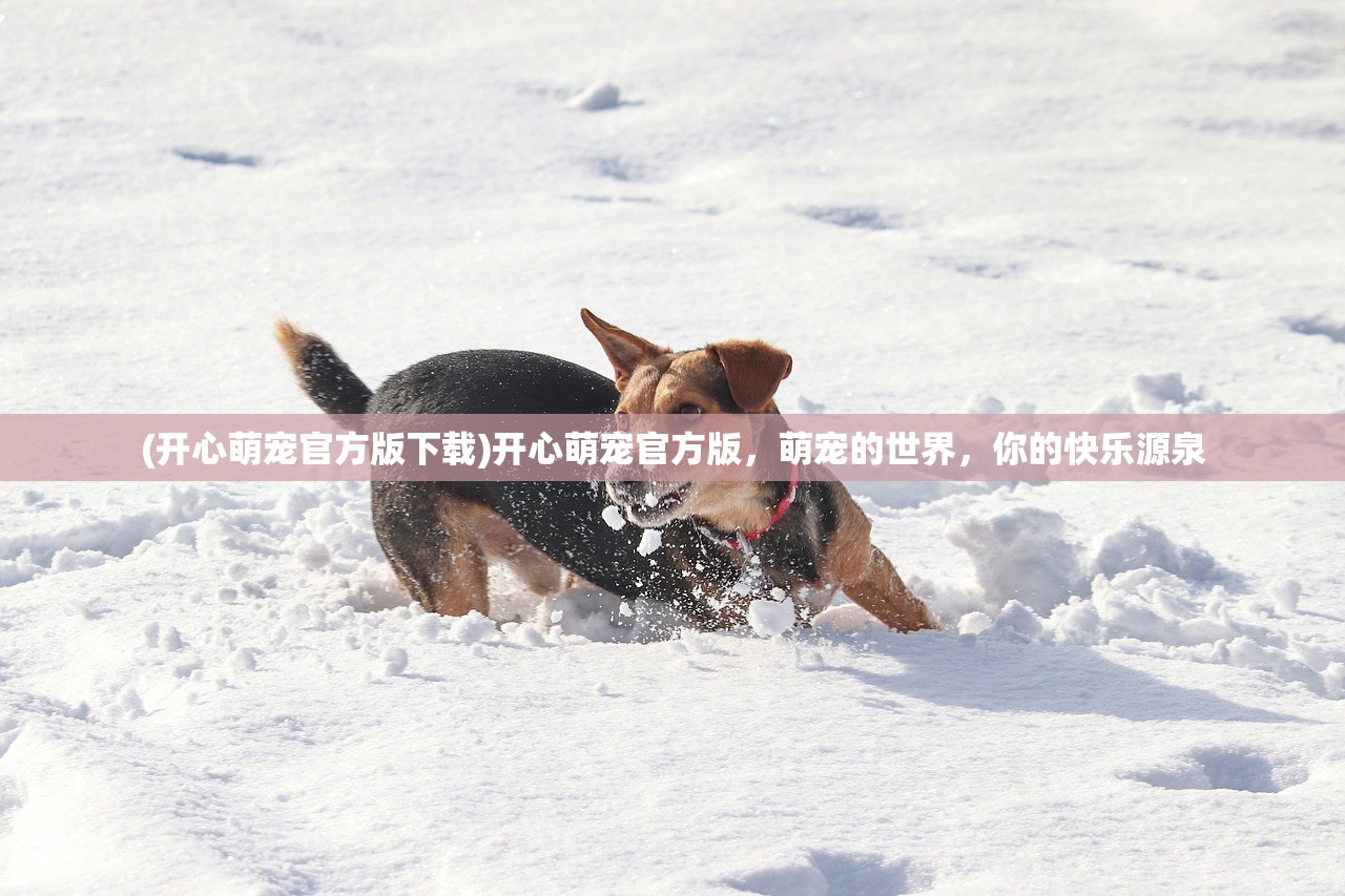 (开心萌宠官方版下载)开心萌宠官方版,萌宠的世界,你的快乐源泉 (开心萌宠官方版下载)开心萌宠官方版,萌宠的世界,你的快乐源泉