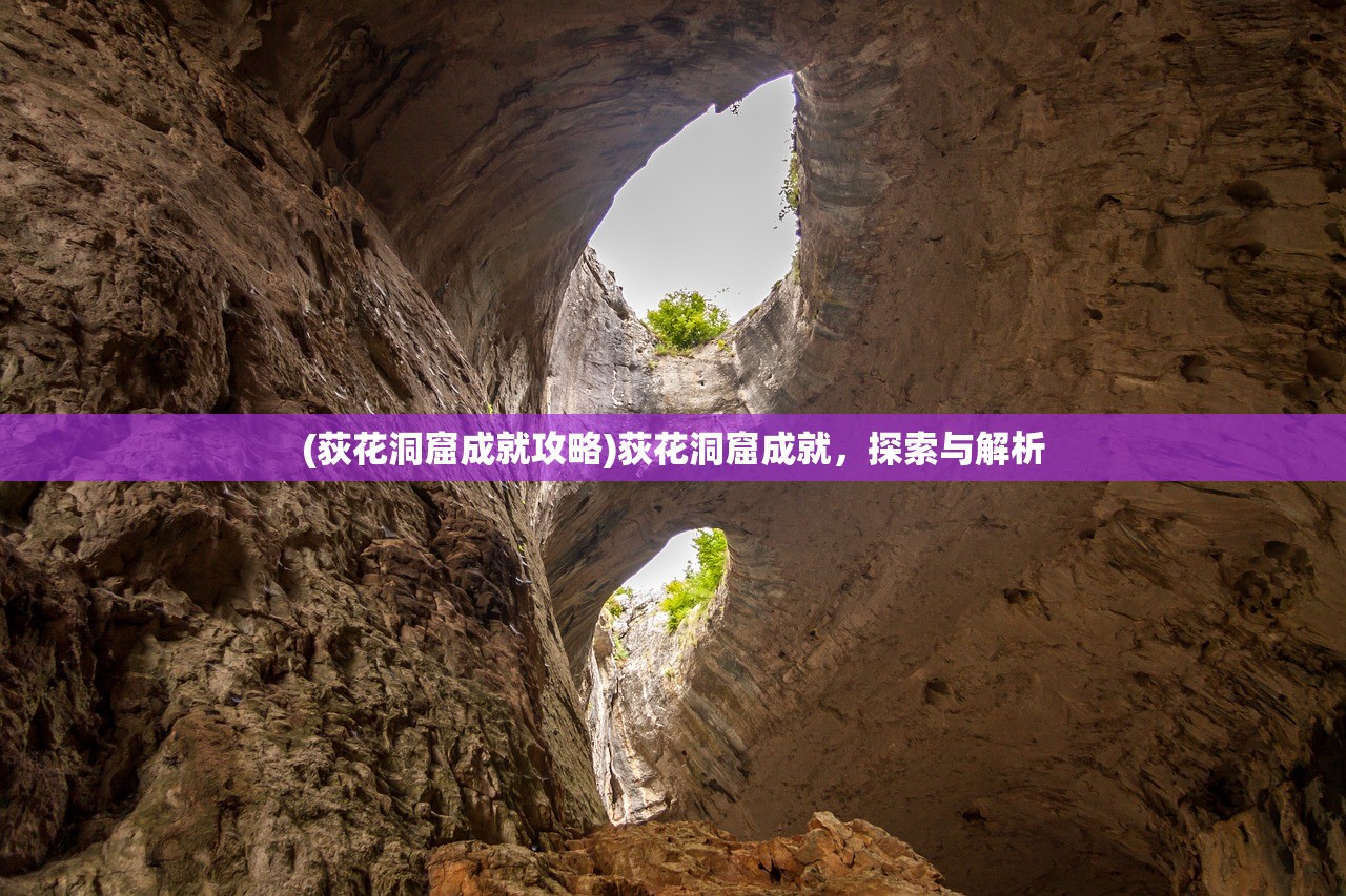 (荻花洞窟成就攻略)荻花洞窟成就,探索与解析 (荻花洞窟成就攻略)荻花洞窟成就,探索与解析
