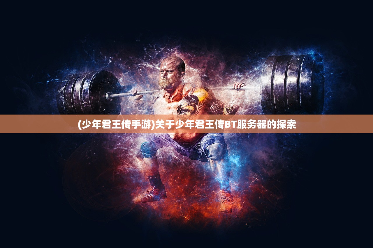 (少年君王传手游)关于少年君王传BT服务器的探索