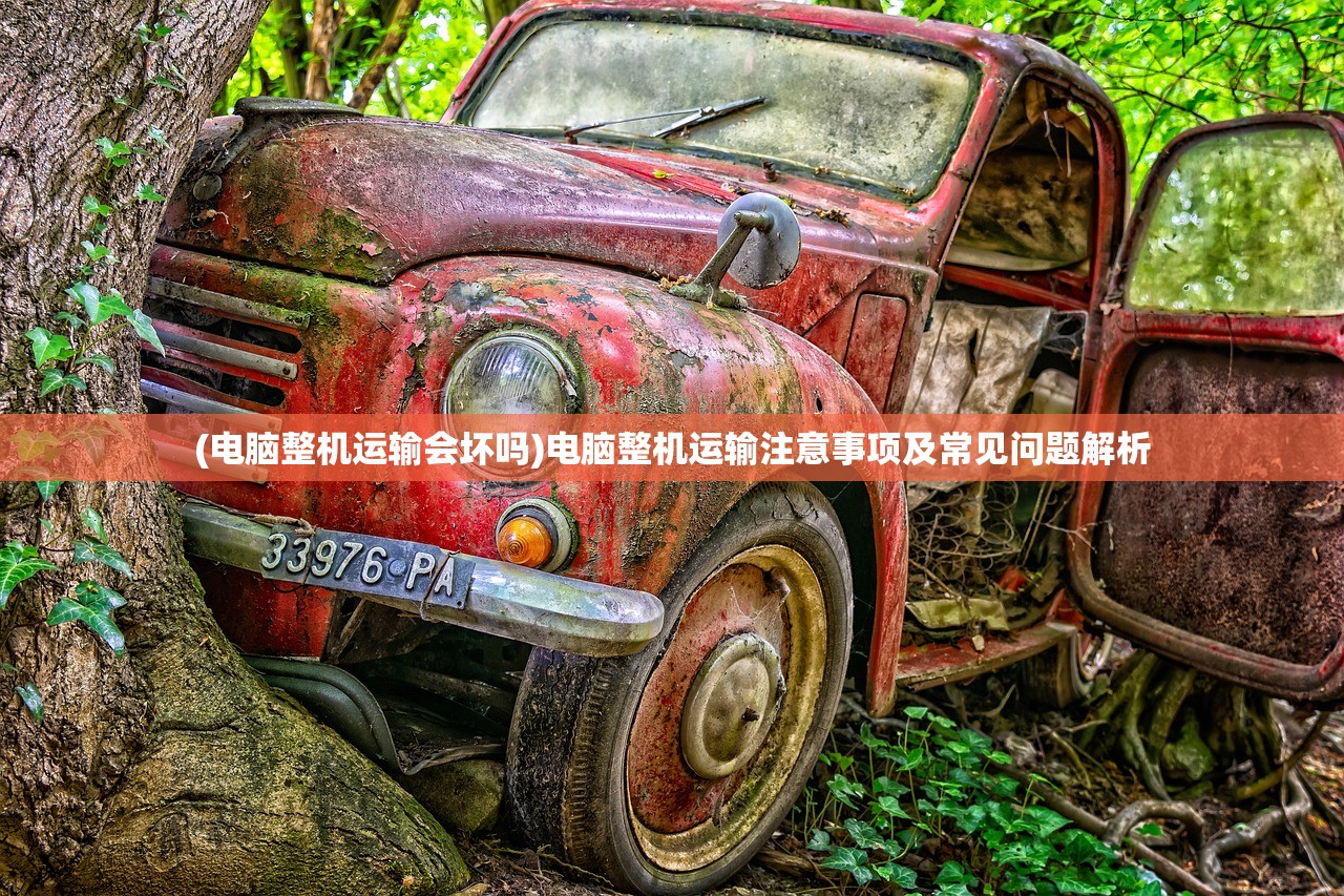 (菲狐倚天情缘手游什么职业好)菲狐倚天情缘手游，探索奇幻世界的情缘之旅