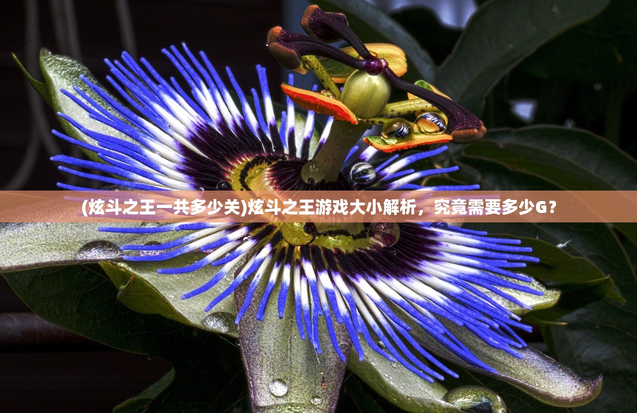(九洲缥缈录全文免费阅读)九洲缥缈录全文免费，探索古典文学的奥秘与魅力