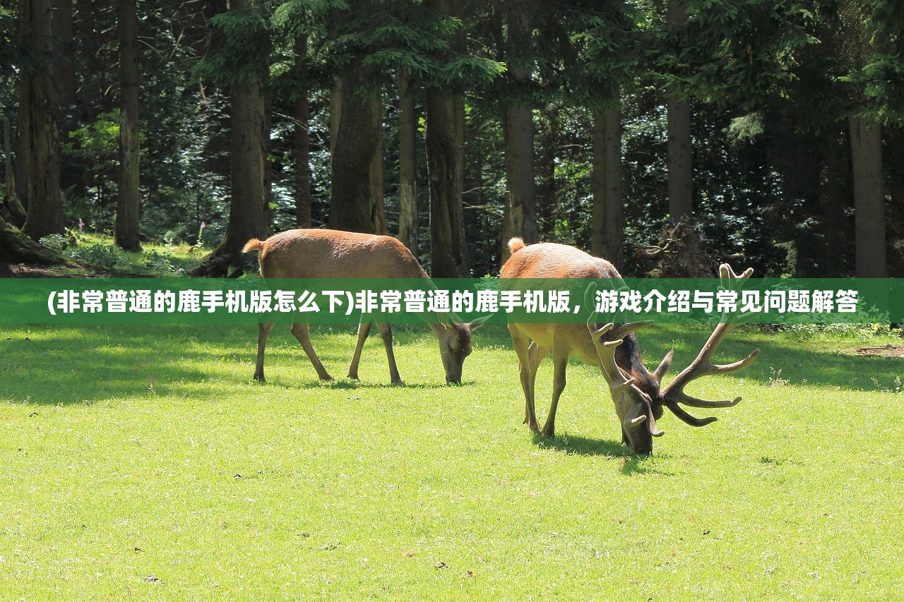 (代号街区全角色解锁版老版)代号街区全角色解锁版，游戏深度分析与常见问题解答
