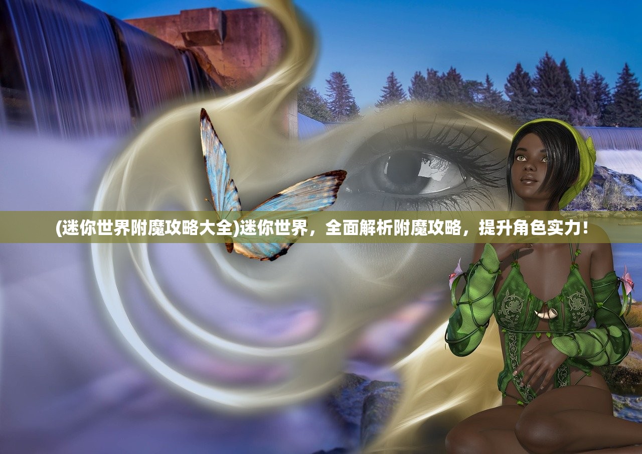 (龙之荣耀搏击比赛)龙之荣耀搏击，传承与创新的融合