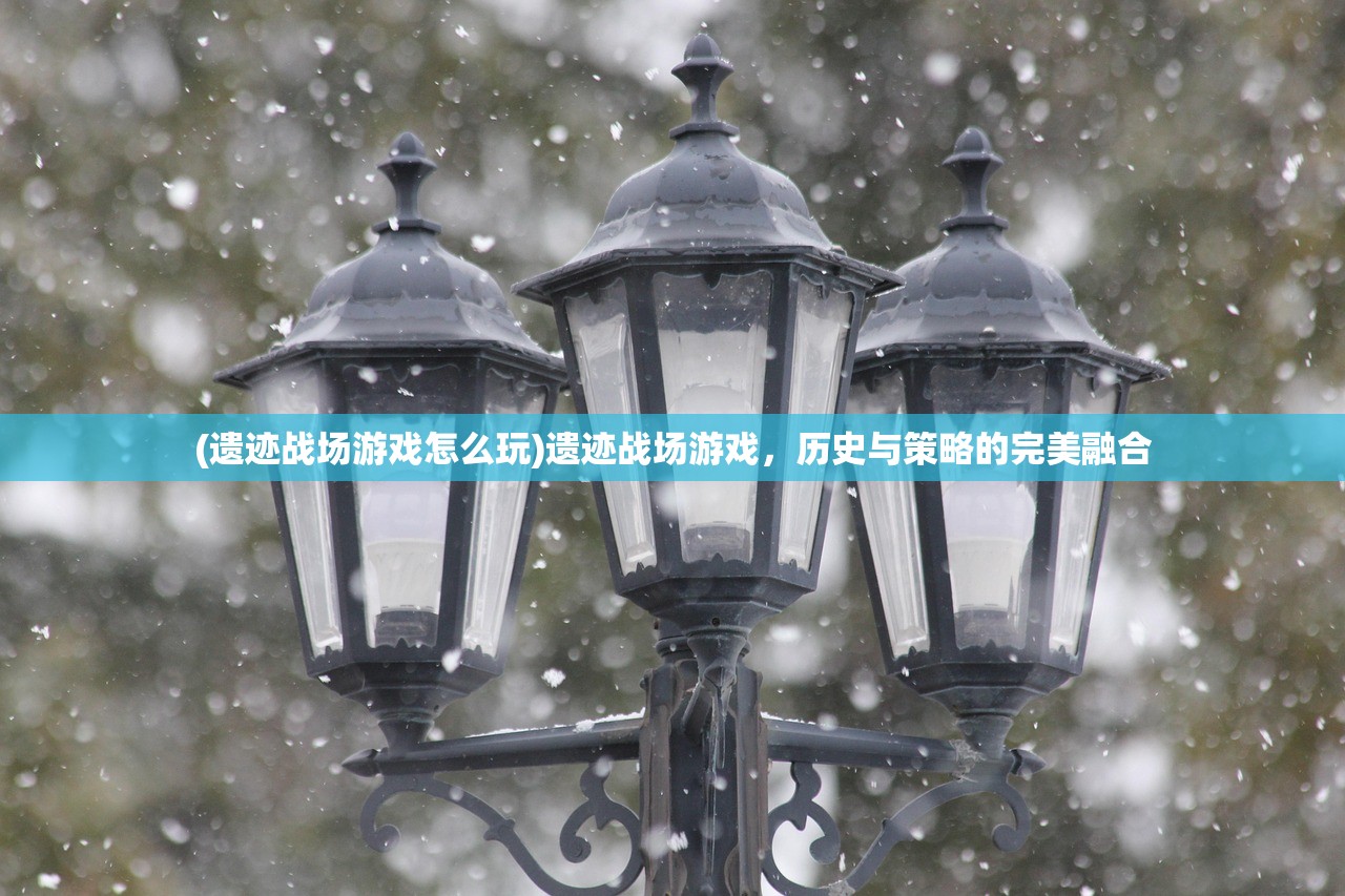 (龙之荣耀搏击比赛)龙之荣耀搏击，传承与创新的融合