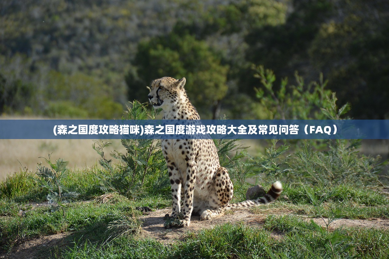 (武林萌主歌曲简谱)武林萌主歌曲，古风与现代的完美融合