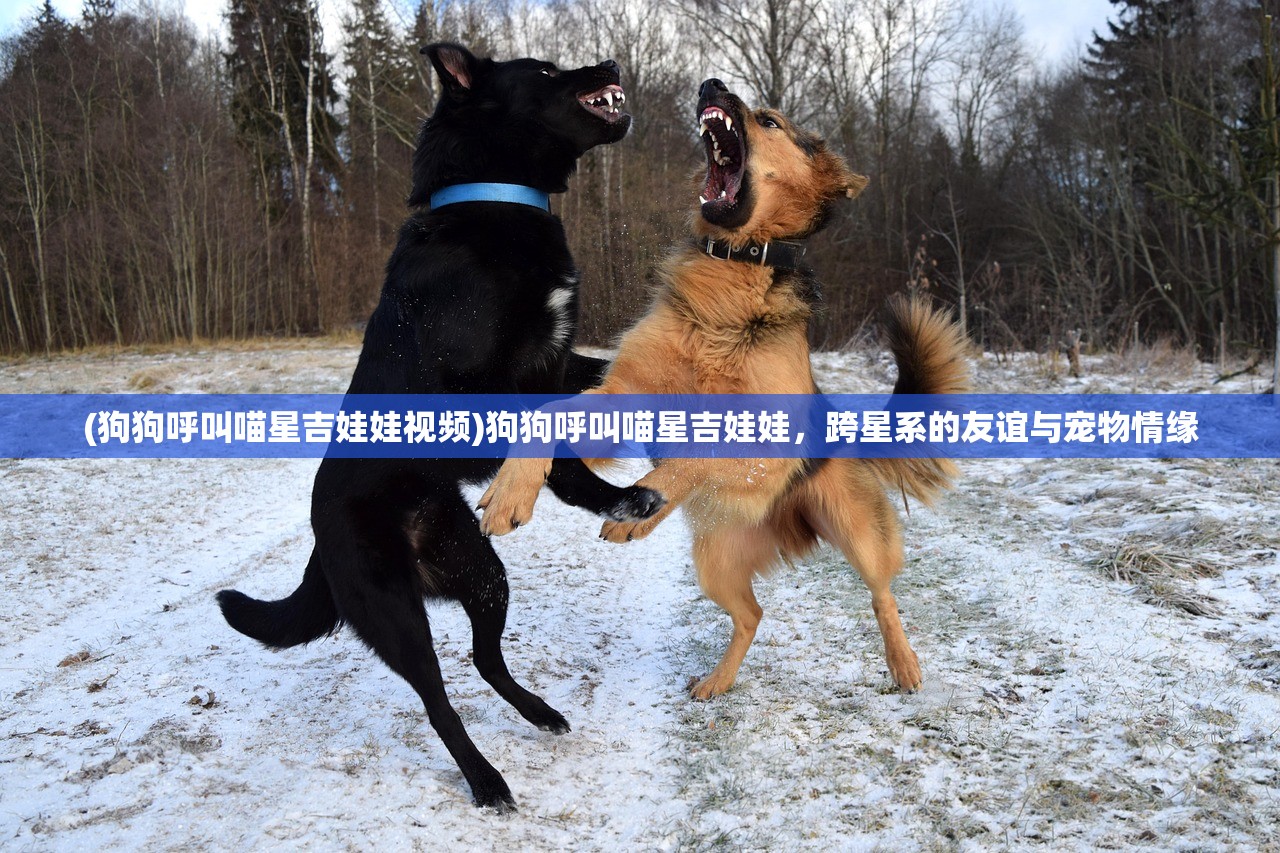 (小兵三国文字游戏攻略)小兵三国文字游戏，深度探索与常见问答