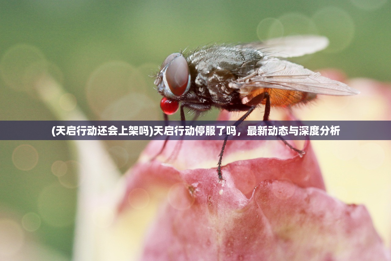 (星界传说手游)星界传说安尼肯,神秘宇宙的传奇英雄 (星界传说手游)星界传说安尼肯,神秘宇宙的传奇英雄