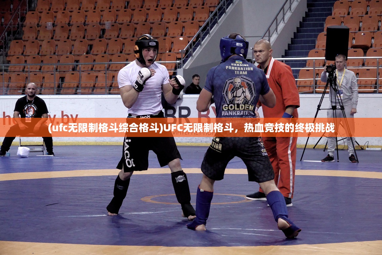 (代号血皇)代号血神，深入解析与探讨