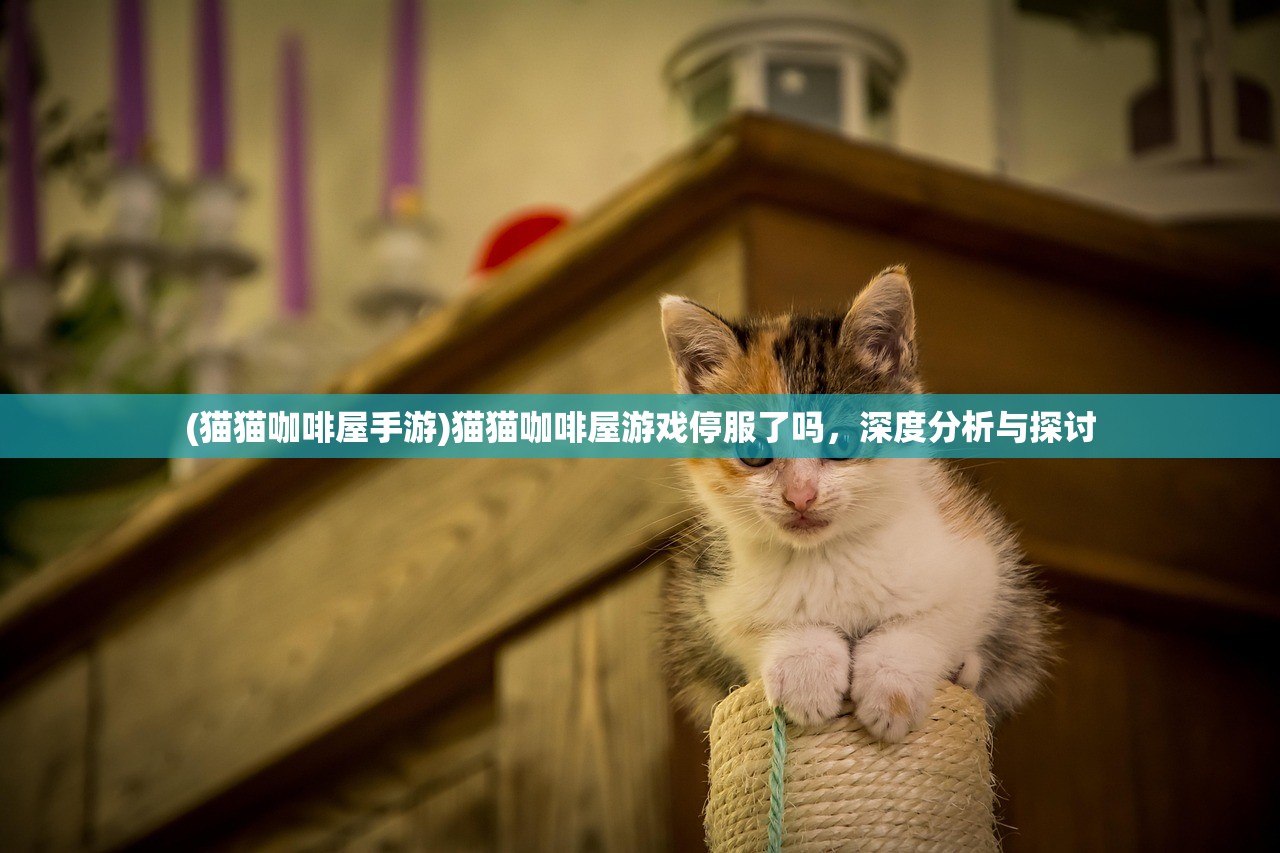 (代号sr)代号STS还在吗，探索其现状和未来展望