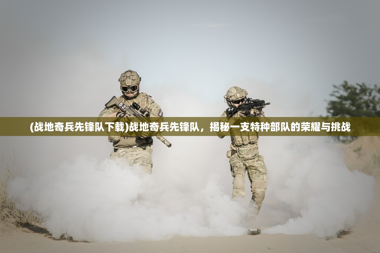 (战地奇兵先锋队下载)战地奇兵先锋队，揭秘一支特种部队的荣耀与挑战