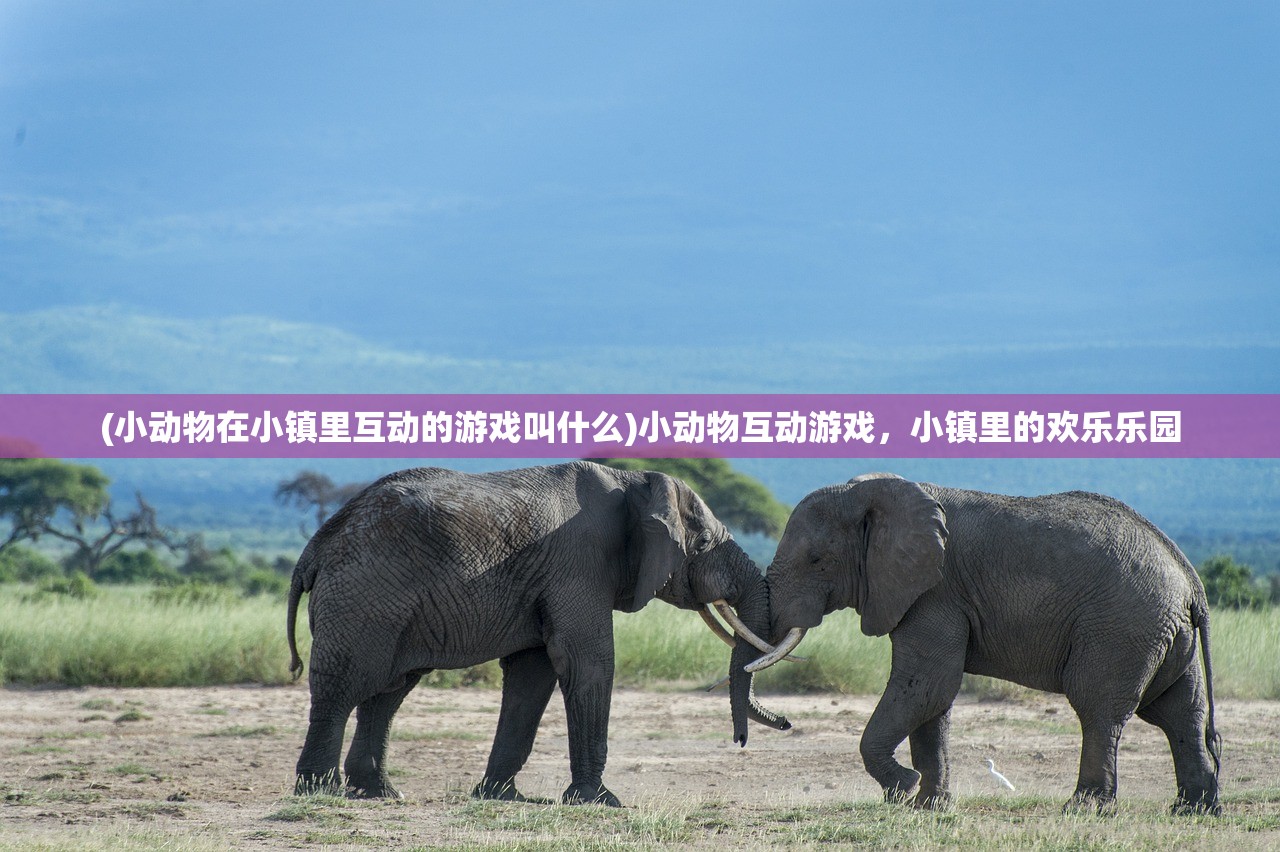 (闪电突袭2求生之路)闪电突袭2，战略战术的深度解析与探讨