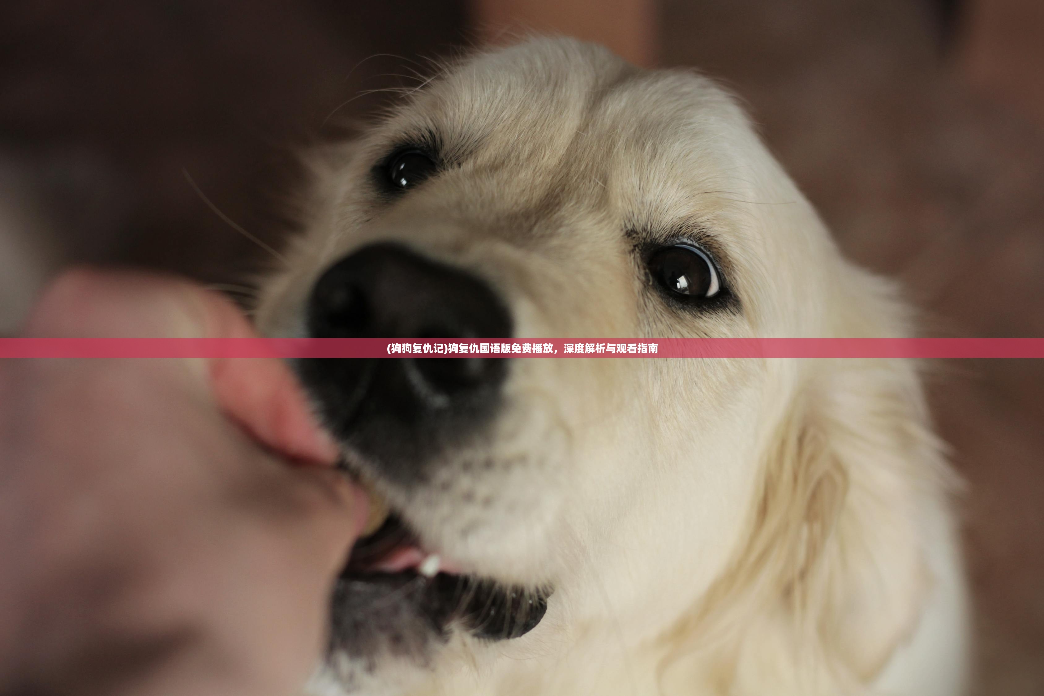 (闪耀战记公测时间2023年最新消息)闪耀战记公测时间揭秘,新纪元战争策略游戏的重磅来袭 (闪耀战记公测时间2023年最新消息)闪耀战记公测时间揭秘,新纪元战争策略游戏的重磅来袭