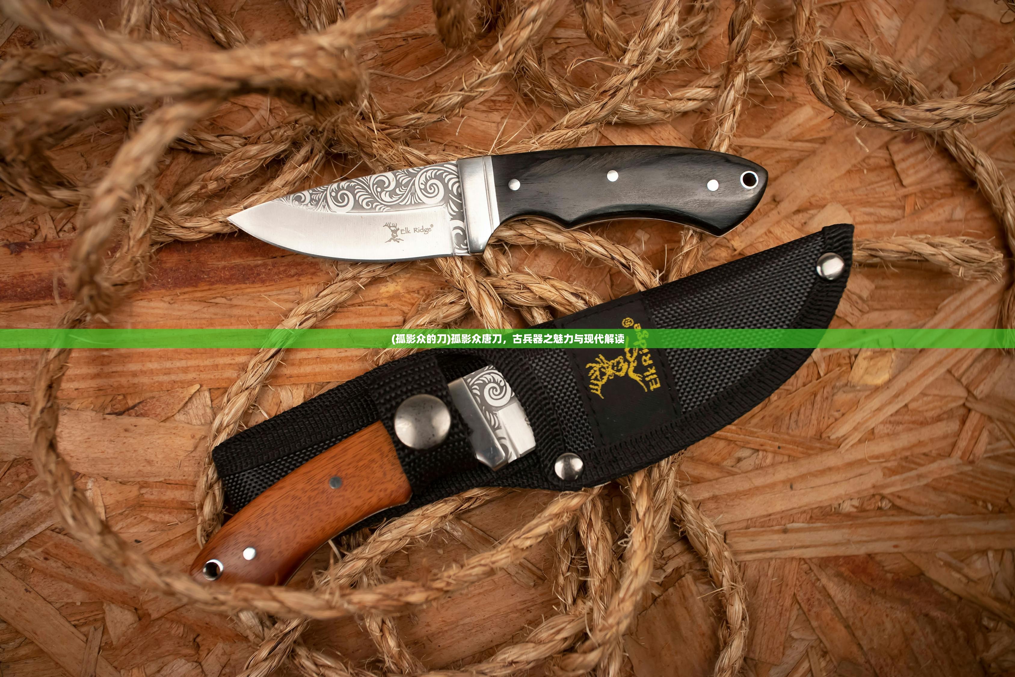 (永恒纪元三倍服折扣版)永恒纪元三倍服，游戏新纪元还是玩家的狂欢？