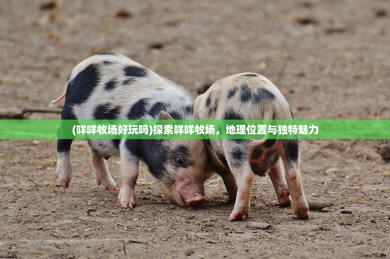 (代号闪耀游戏)代号闪耀捏脸数据，深度解析与常见问题解答