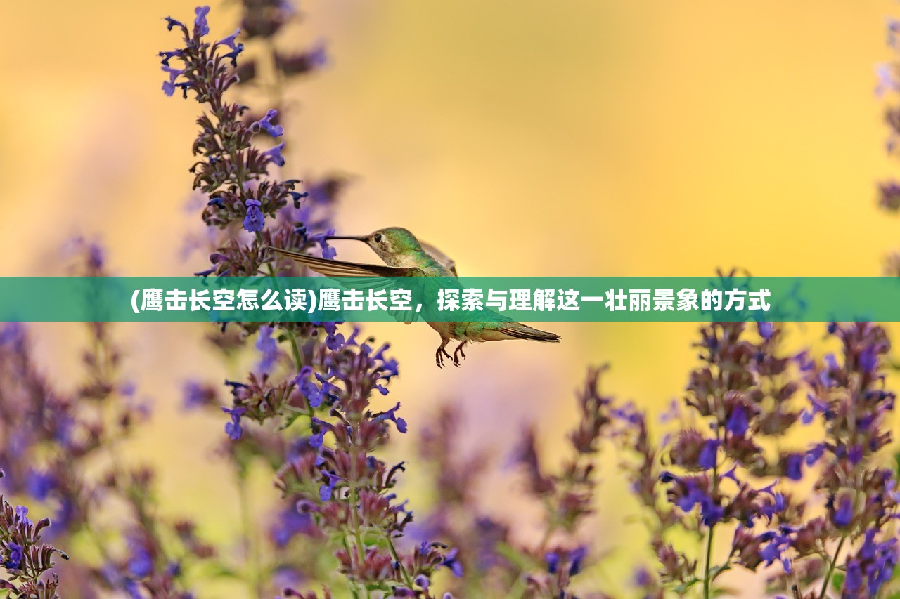 (鹰击长空怎么读)鹰击长空,探索与理解这一壮丽景象的方式 (鹰击长空怎么读)鹰击长空,探索与理解这一壮丽景象的方式