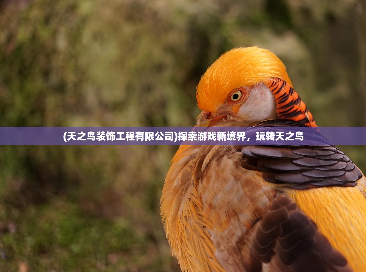 (真红之刃哪个职业厉害一点)真红之刃，哪个职业最厉害？深度分析与探讨