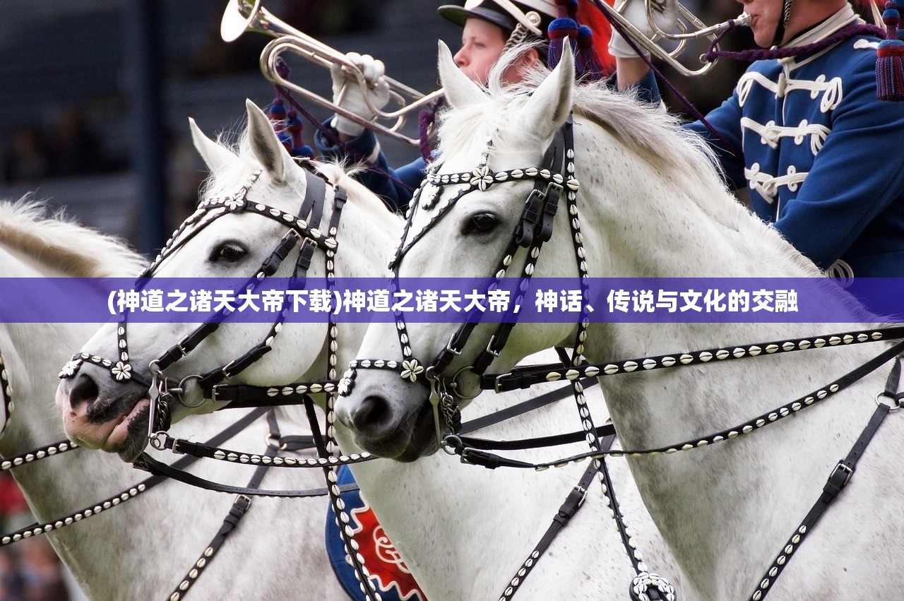 (逍遥志游戏兑换码)逍遥志游戏，探索奇幻世界的无尽魅力