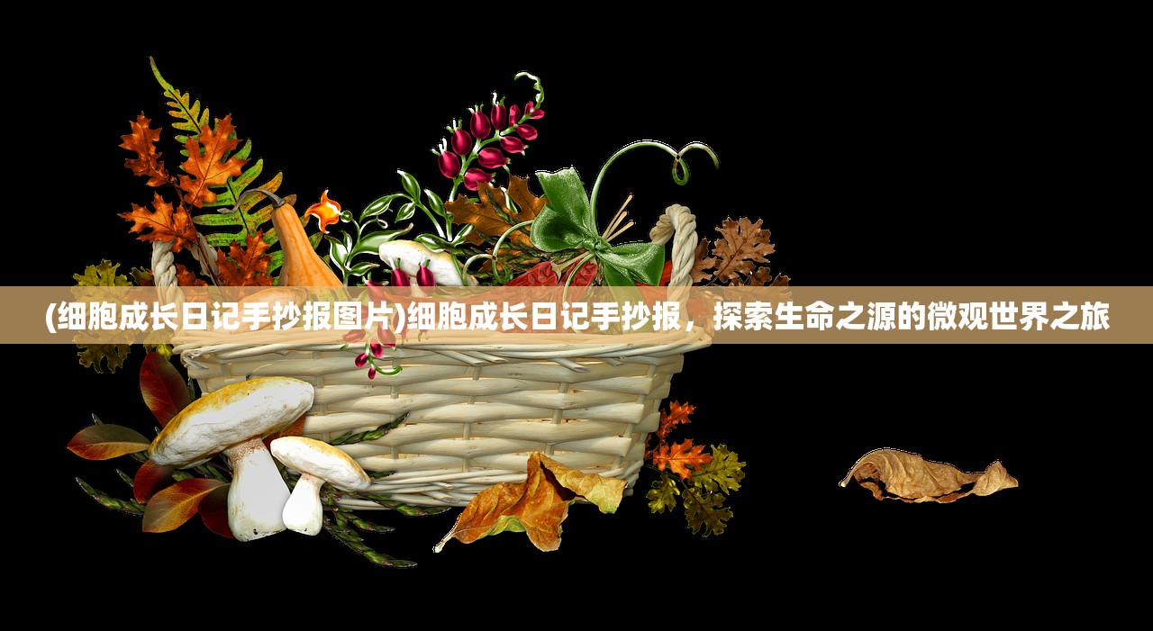 (鹰击长空游戏技能是什么)鹰击长空游戏技能深度解析