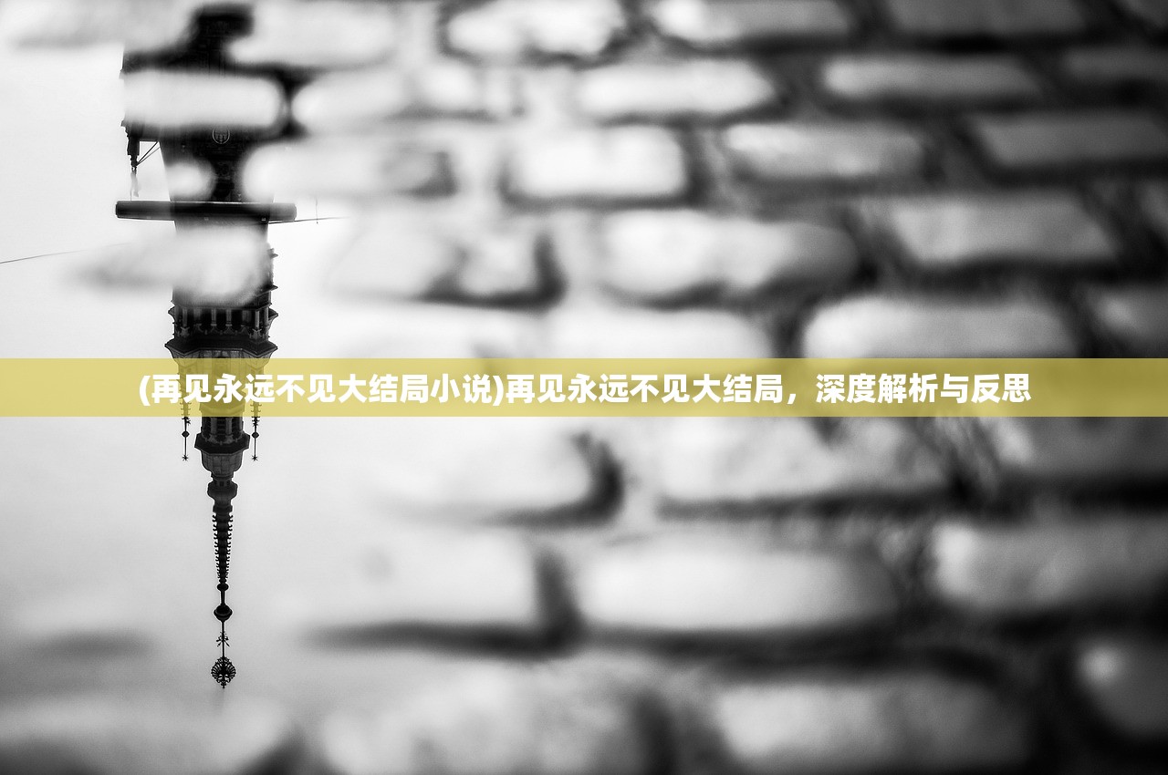 (再见永远不见大结局小说)再见永远不见大结局,深度解析与反思 (再见永远不见大结局小说)再见永远不见大结局,深度解析与反思