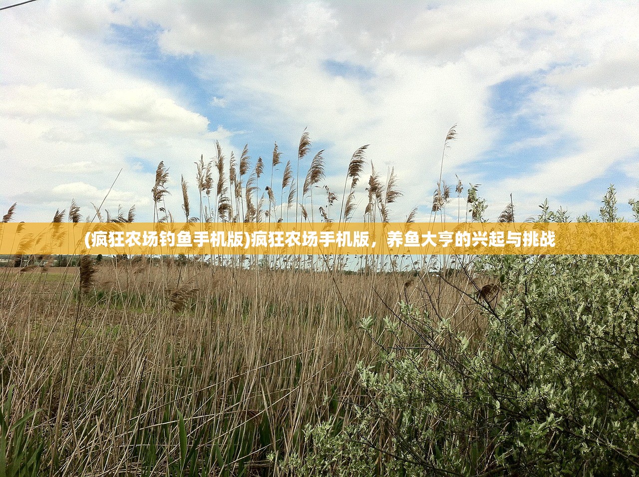 (边际猎人手游是不是下线了)边际猎人手游，探索未知世界的冒险之旅