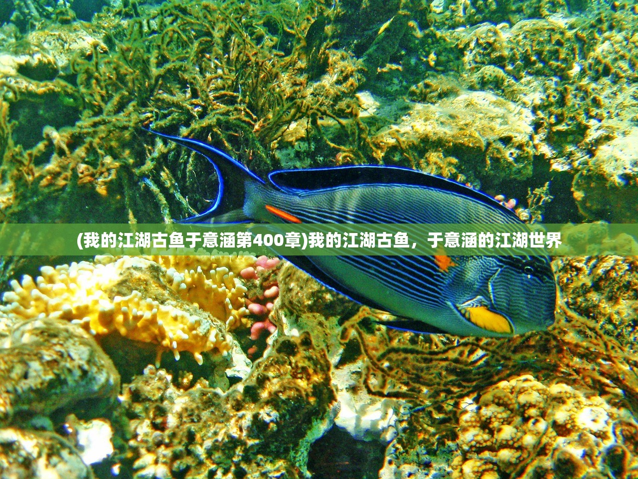 (指尖无双厨王争霸攻略图)指尖无双厨王争霸攻略大全及常见问题解答 (指尖无双厨王争霸攻略图)指尖无双厨王争霸攻略大全及常见问题解答