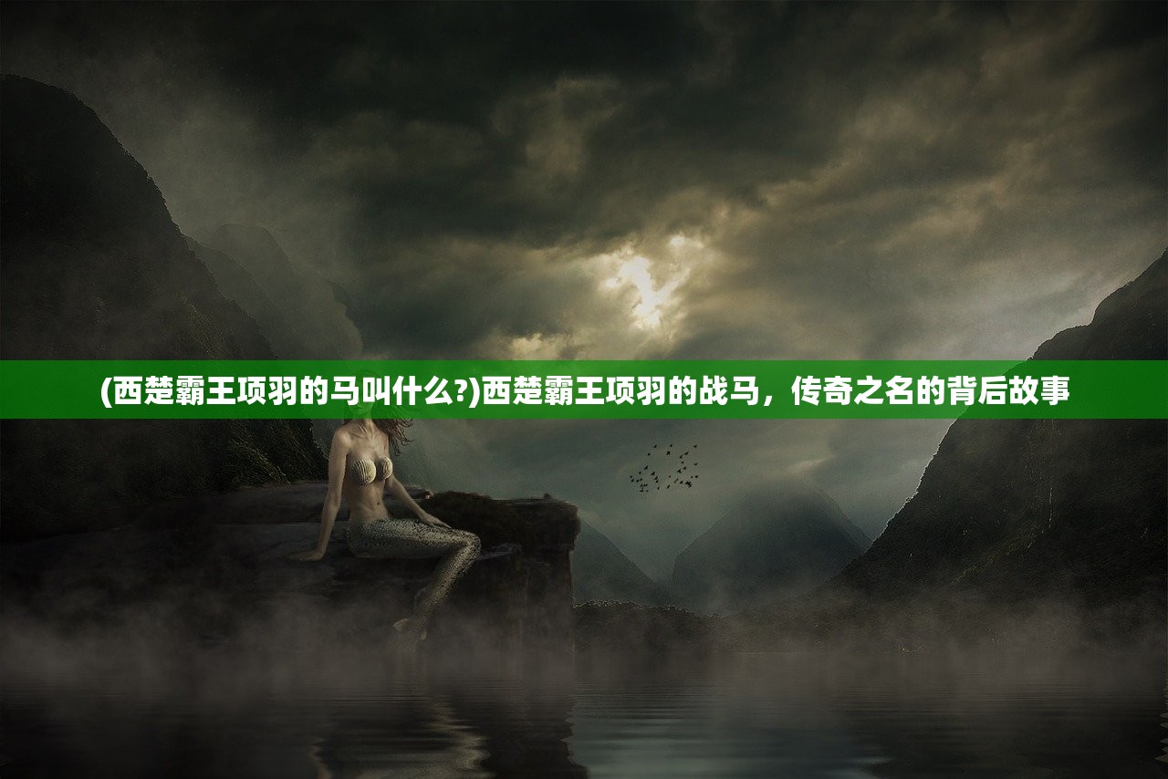 (西楚霸王项羽的马叫什么?)西楚霸王项羽的战马,传奇之名的背后故事 (西楚霸王项羽的马叫什么?)西楚霸王项羽的战马,传奇之名的背后故事