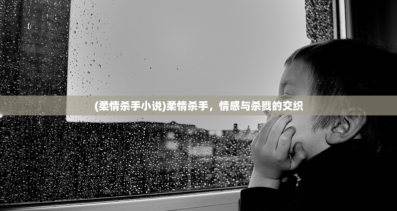 (柔情杀手小说)柔情杀手,情感与杀戮的交织 (柔情杀手小说)柔情杀手,情感与杀戮的交织