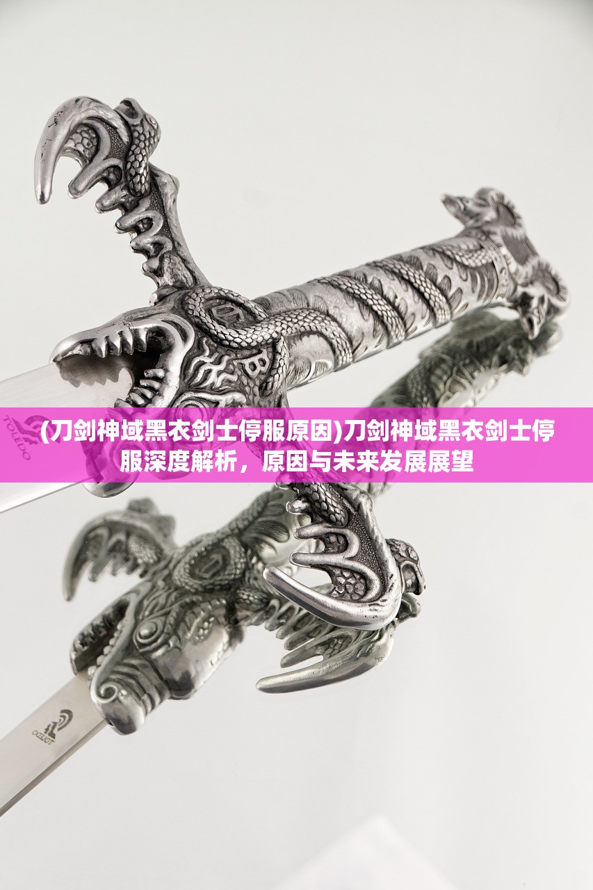 (刀剑神域黑衣剑士停服原因)刀剑神域黑衣剑士停服深度解析，原因与未来发展展望