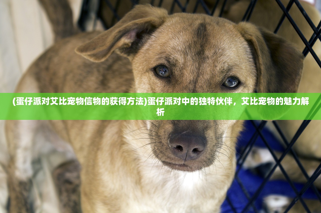 (蛋仔派对艾比宠物信物的获得方法)蛋仔派对中的独特伙伴，艾比宠物的魅力解析
