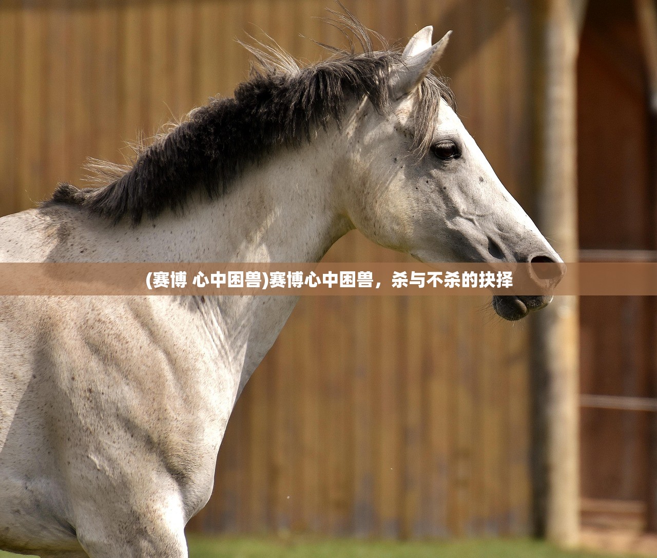 (赛博 心中困兽)赛博心中困兽,杀与不杀的抉择 (赛博 心中困兽)赛博心中困兽,杀与不杀的抉择