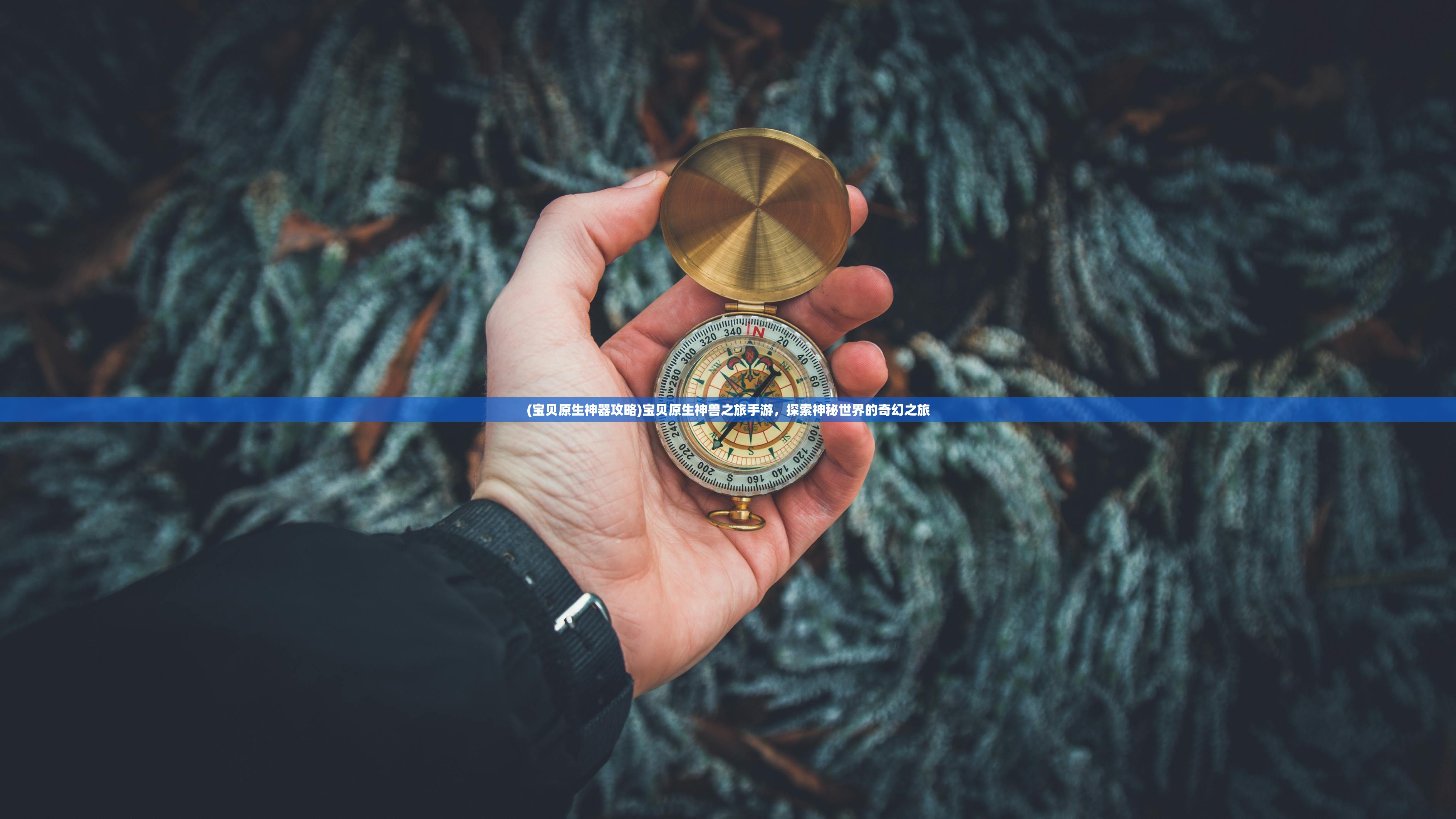 (宝贝原生神器攻略)宝贝原生神兽之旅手游,探索神秘世界的奇幻之旅 (宝贝原生神器攻略)宝贝原生神兽之旅手游,探索神秘世界的奇幻之旅