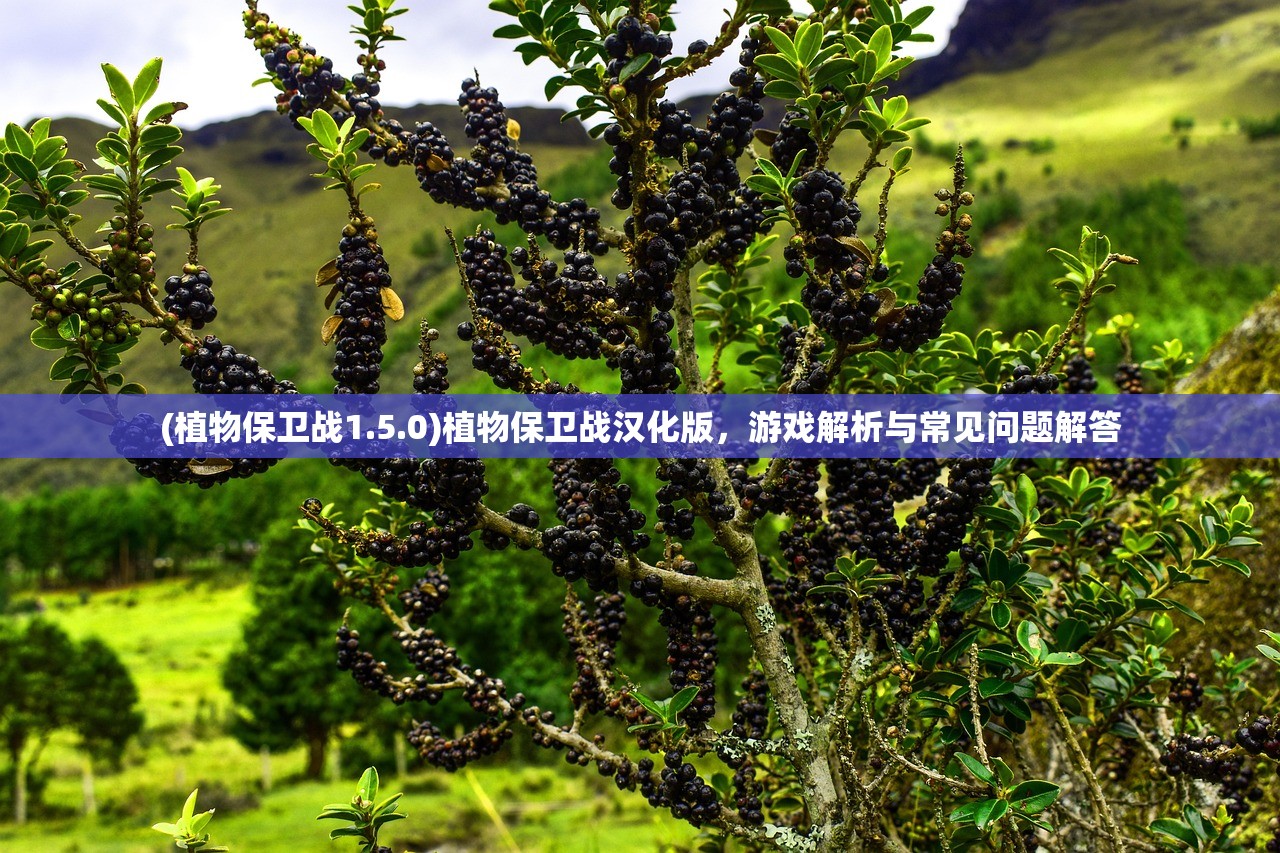 (植物保卫战1.5.0)植物保卫战汉化版,游戏解析与常见问题解答 (植物保卫战1.5.0)植物保卫战汉化版,游戏解析与常见问题解答