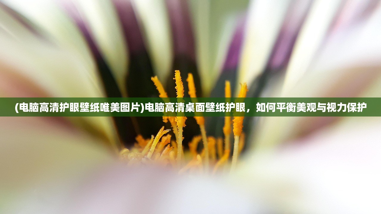 (电脑高清护眼壁纸唯美图片)电脑高清桌面壁纸护眼,如何平衡美观与视力保护 (电脑高清护眼壁纸唯美图片)电脑高清桌面壁纸护眼,如何平衡美观与视力保护