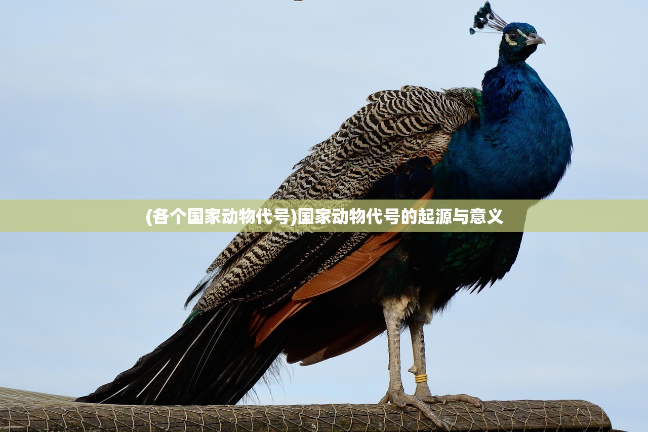 (各个国家动物代号)国家动物代号的起源与意义 (各个国家动物代号)国家动物代号的起源与意义